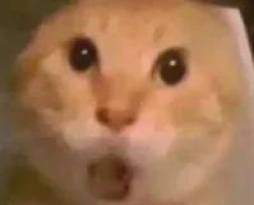 星空体育官网下载-失准了！NBA现象级新秀！东契奇有望登顶三分王