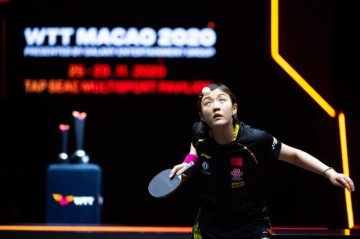 WTT赛事延期无碍备战 国乒将办“直通赛”保持状态